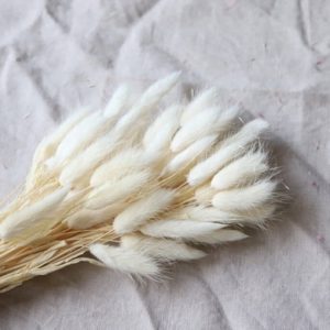 Лагурус* Блэйчд (белый) ZENTOO, 75 см / 4