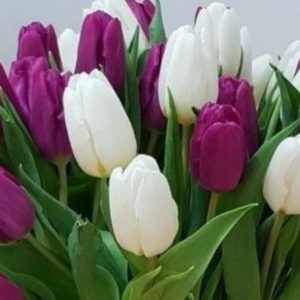 Монобукет