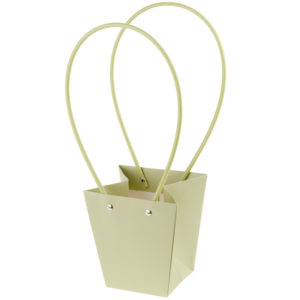 Сумка подарочная (картон), 12x8xH12,5 см, Фисташковый